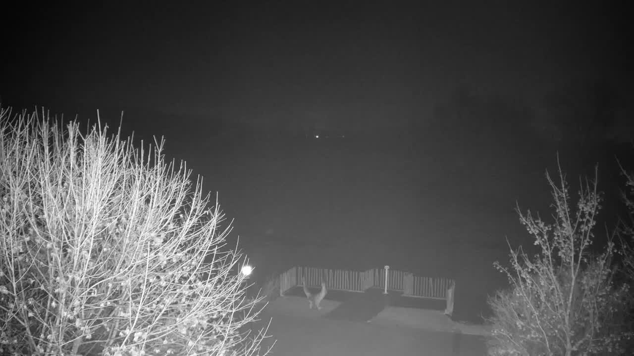 Webcam Ribnik Vrbje – Žalec