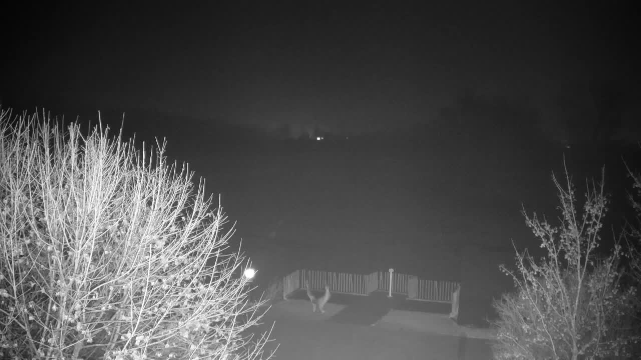 Webcam Ribnik Vrbje – Žalec