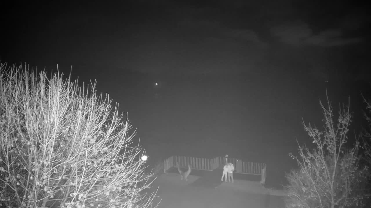 Webcam Ribnik Vrbje – Žalec