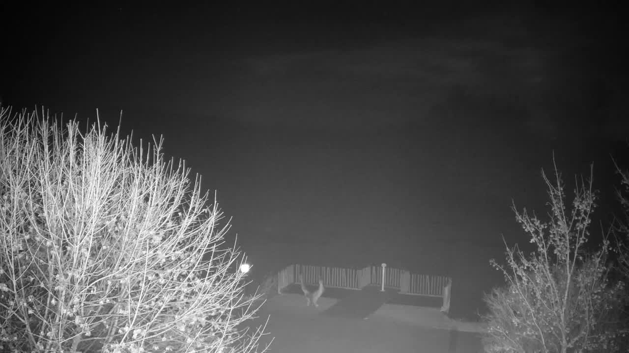 Webcam Ribnik Vrbje – Žalec