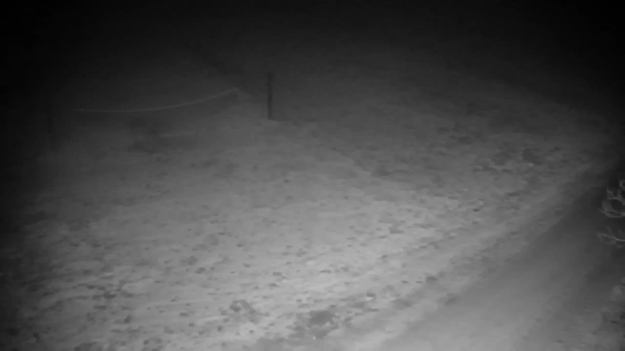 Webcam Ribnik Vrbje – Žalec