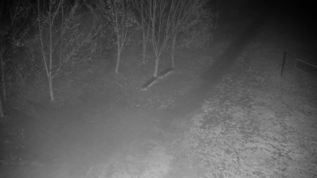 Webcam Ribnik Vrbje – Žalec