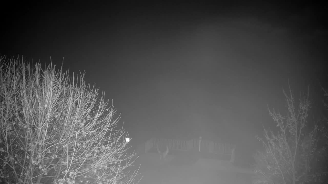 Webcam Ribnik Vrbje – Žalec