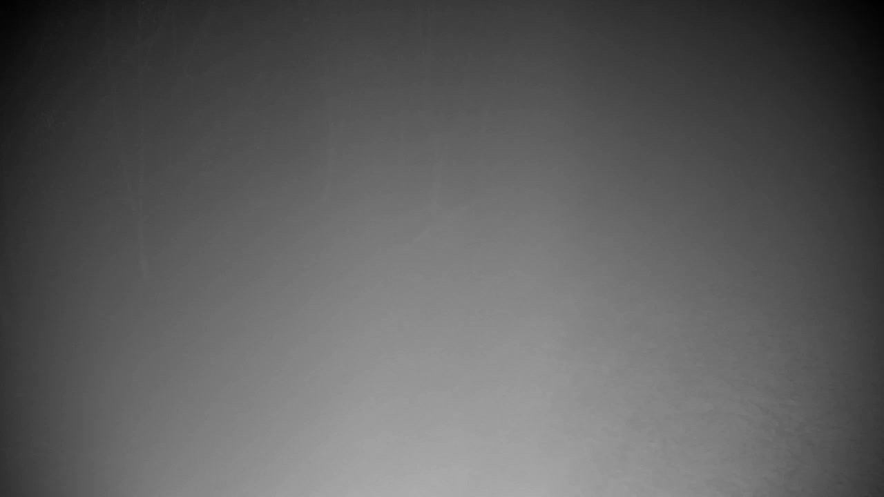 Webcam Ribnik Vrbje – Žalec