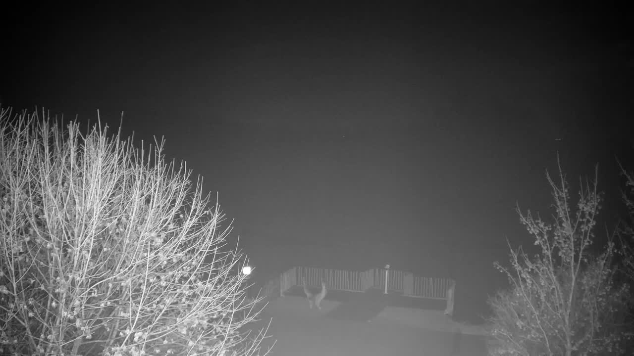 Spletna kamera Ribnik Vrbje – Žalec