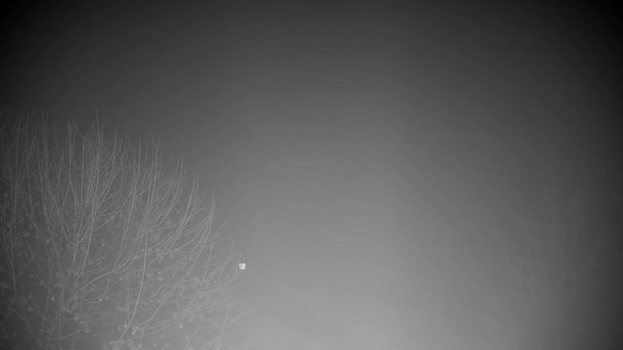 Webcam Ribnik Vrbje – Žalec