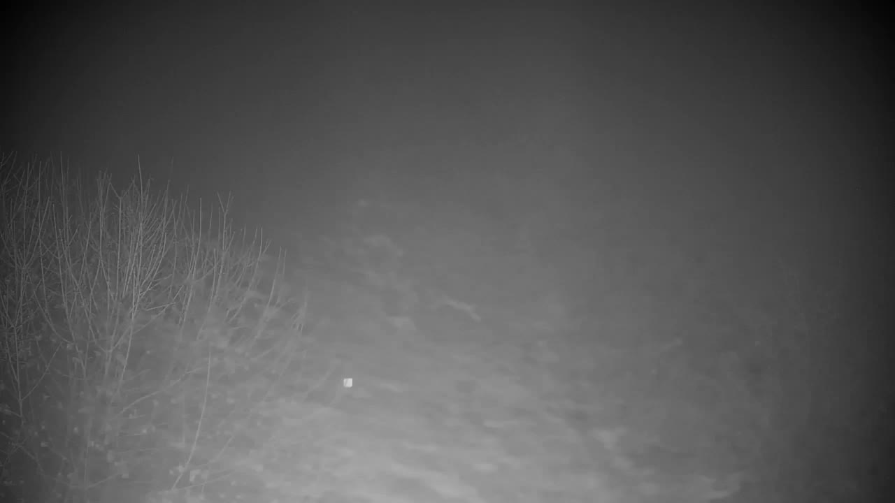 Webcam Ribnik Vrbje – Žalec