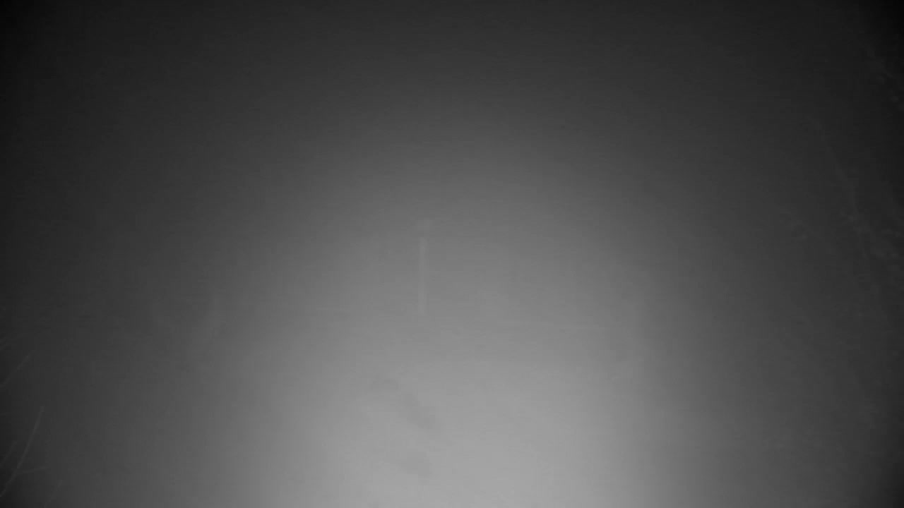 Spletna kamera Ribnik Vrbje – Žalec