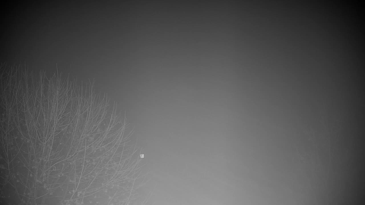 Webcam Ribnik Vrbje – Žalec