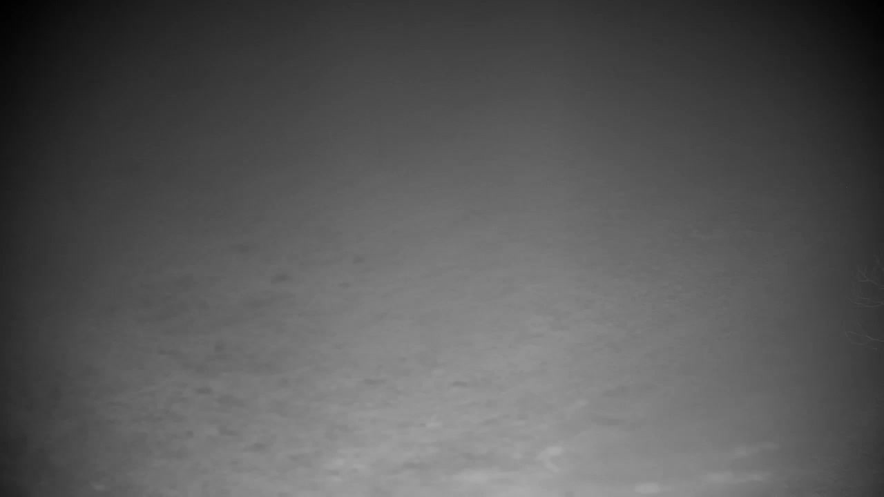 Webcam Ribnik Vrbje – Žalec