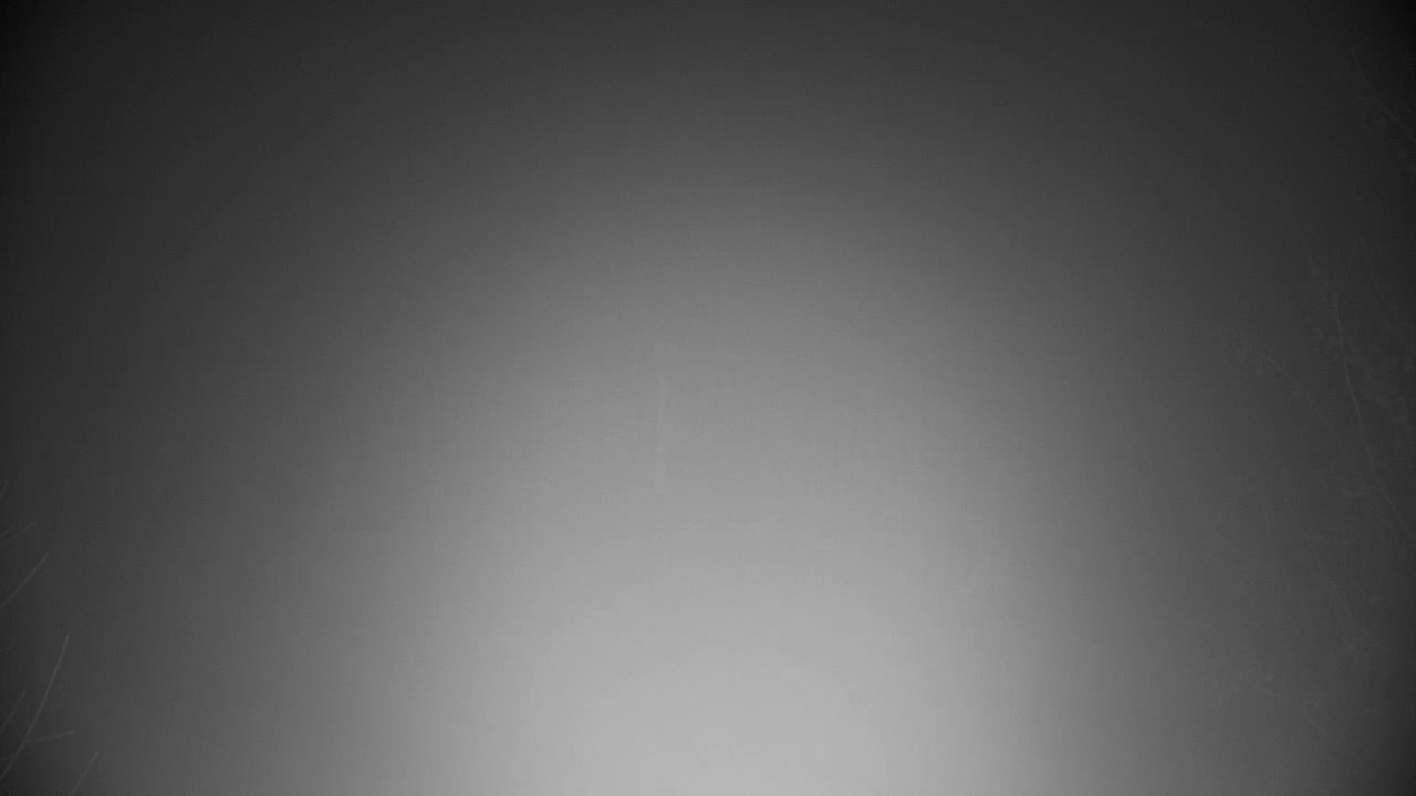 Webcam Ribnik Vrbje – Žalec