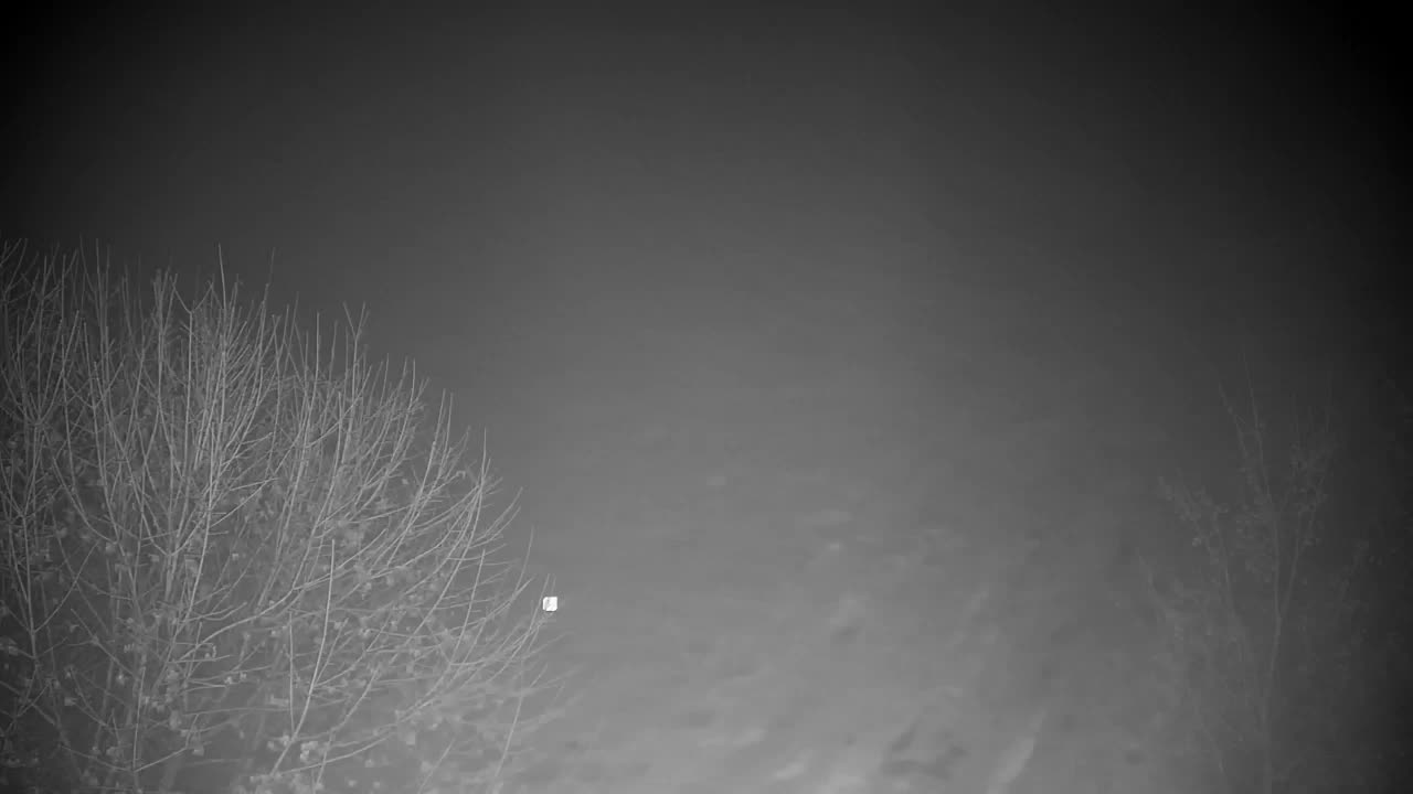 Webcam Ribnik Vrbje – Žalec