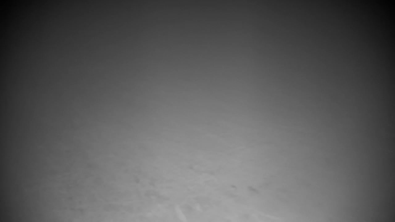 Web kamera Ribnik Vrbje – Žalec