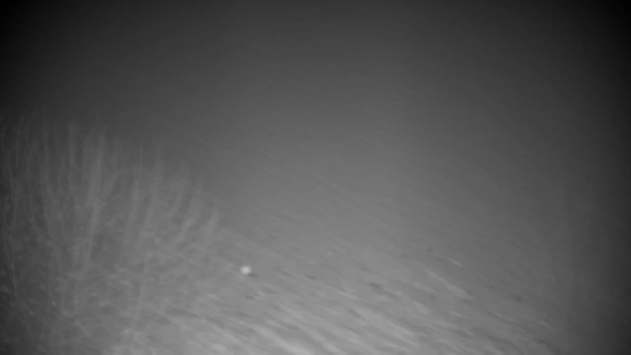 Webcam Ribnik Vrbje – Žalec