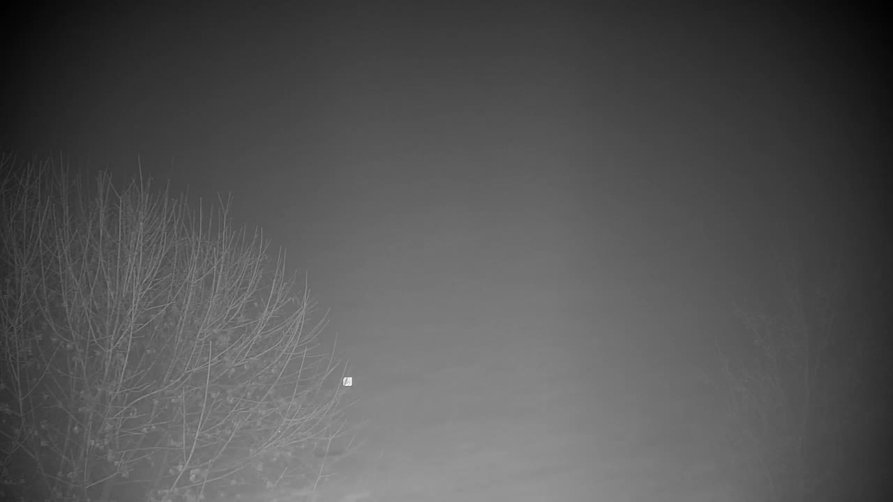 Spletna kamera Ribnik Vrbje – Žalec