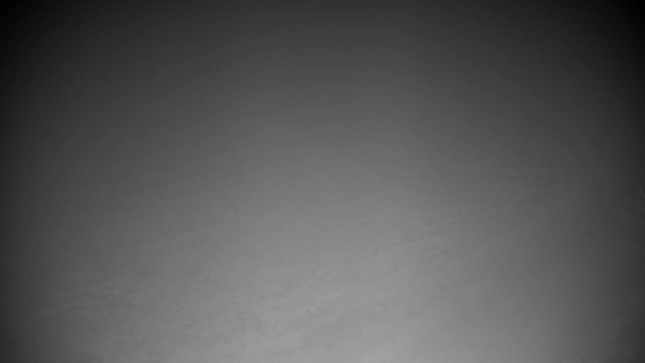 Spletna kamera Ribnik Vrbje – Žalec