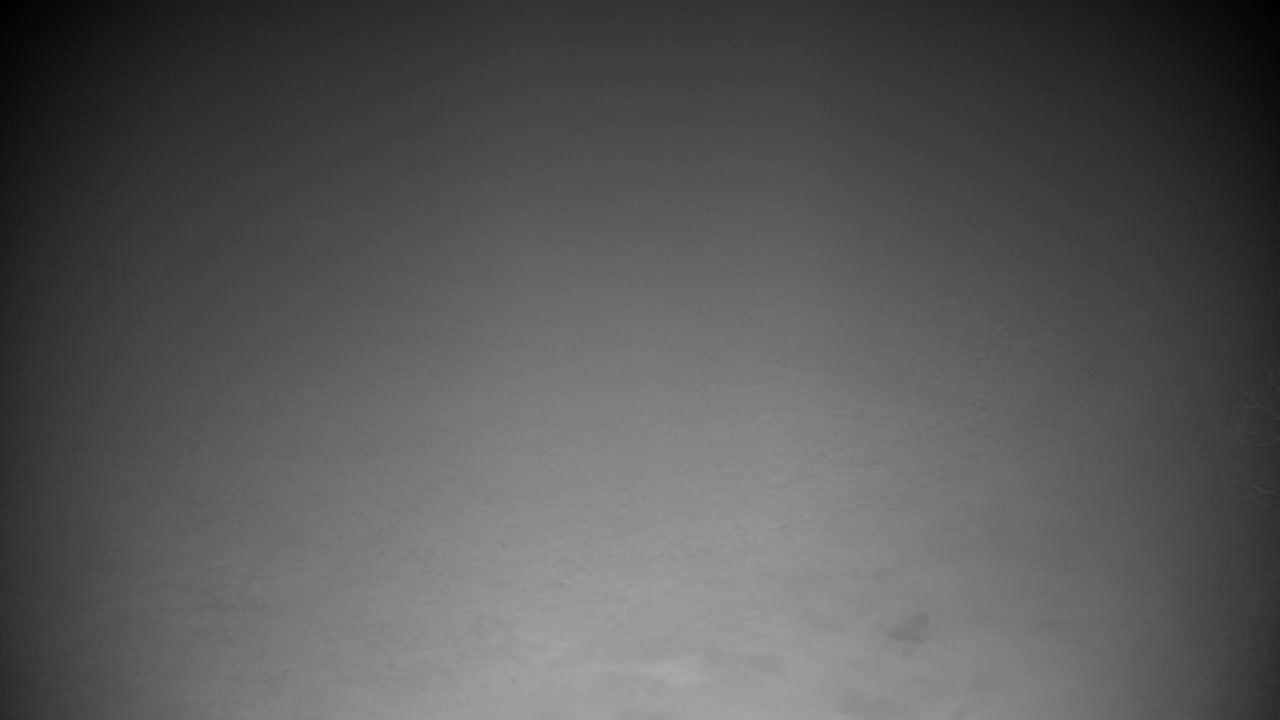 Web kamera Ribnik Vrbje – Žalec