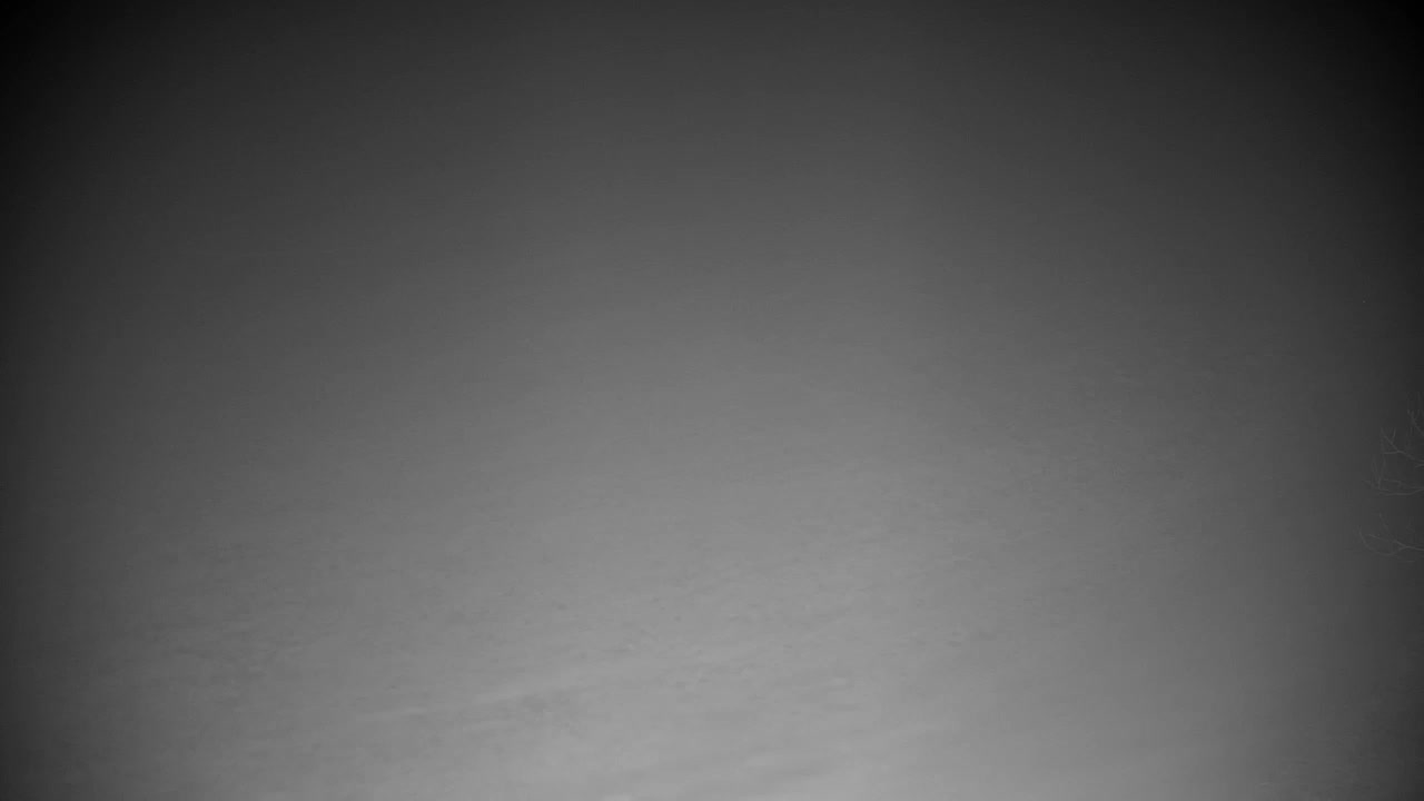 Webcam Ribnik Vrbje – Žalec