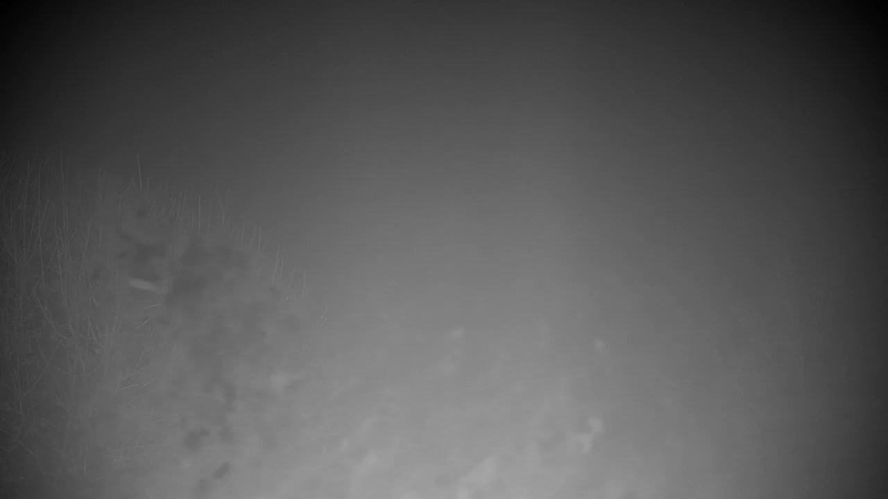 Webcam Ribnik Vrbje – Žalec