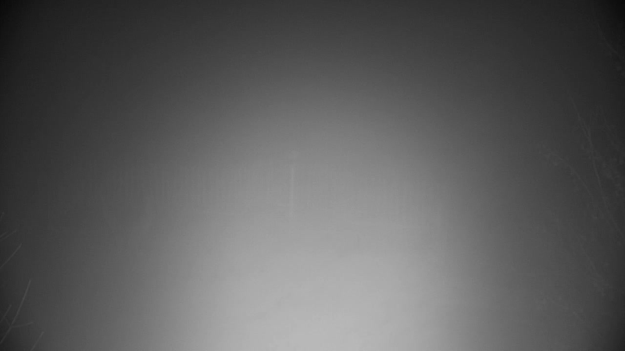 Webcam Ribnik Vrbje – Žalec