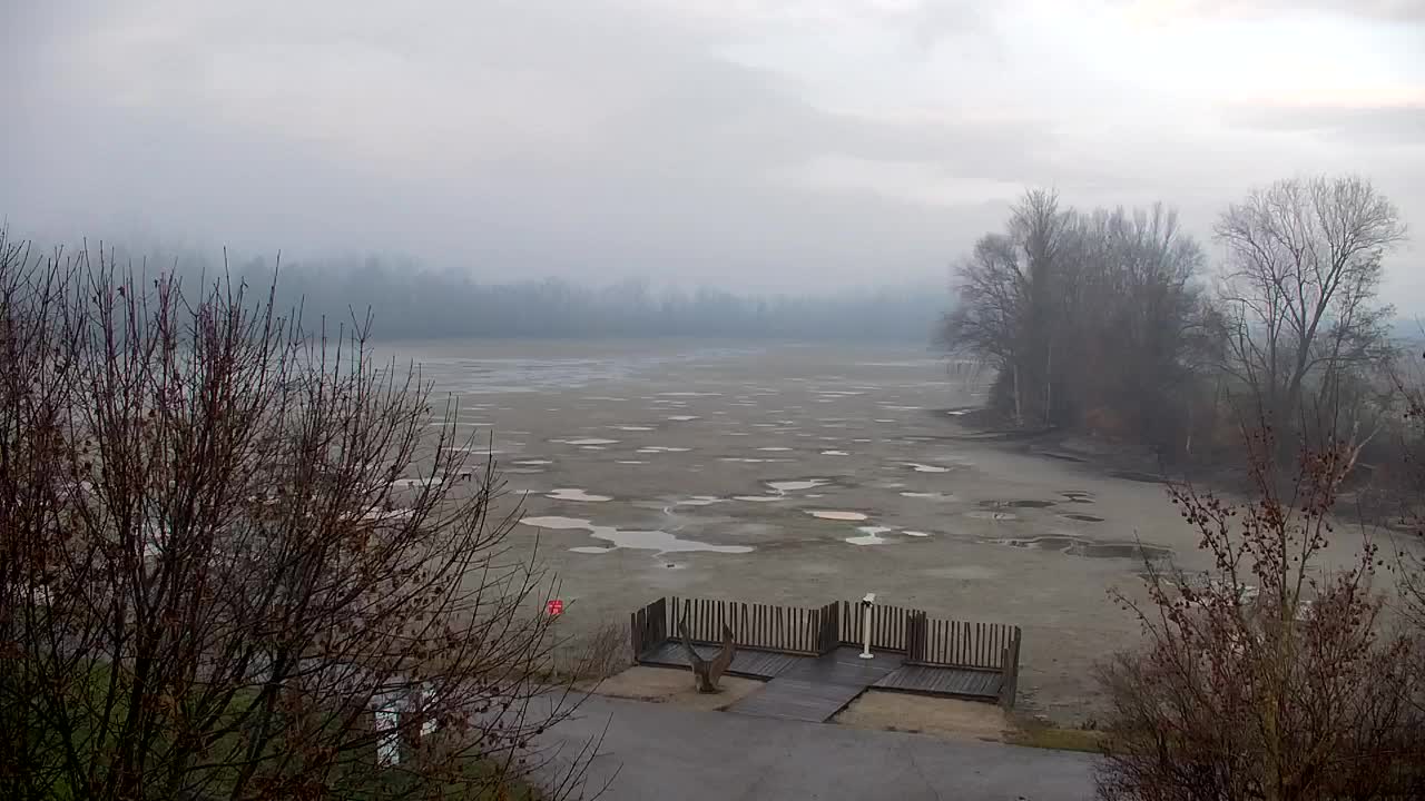 Spletna kamera Ribnik Vrbje – Žalec