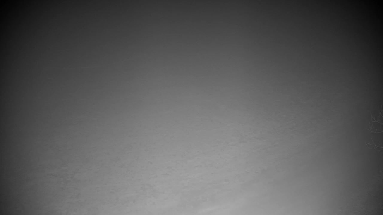 Webcam Ribnik Vrbje – Žalec