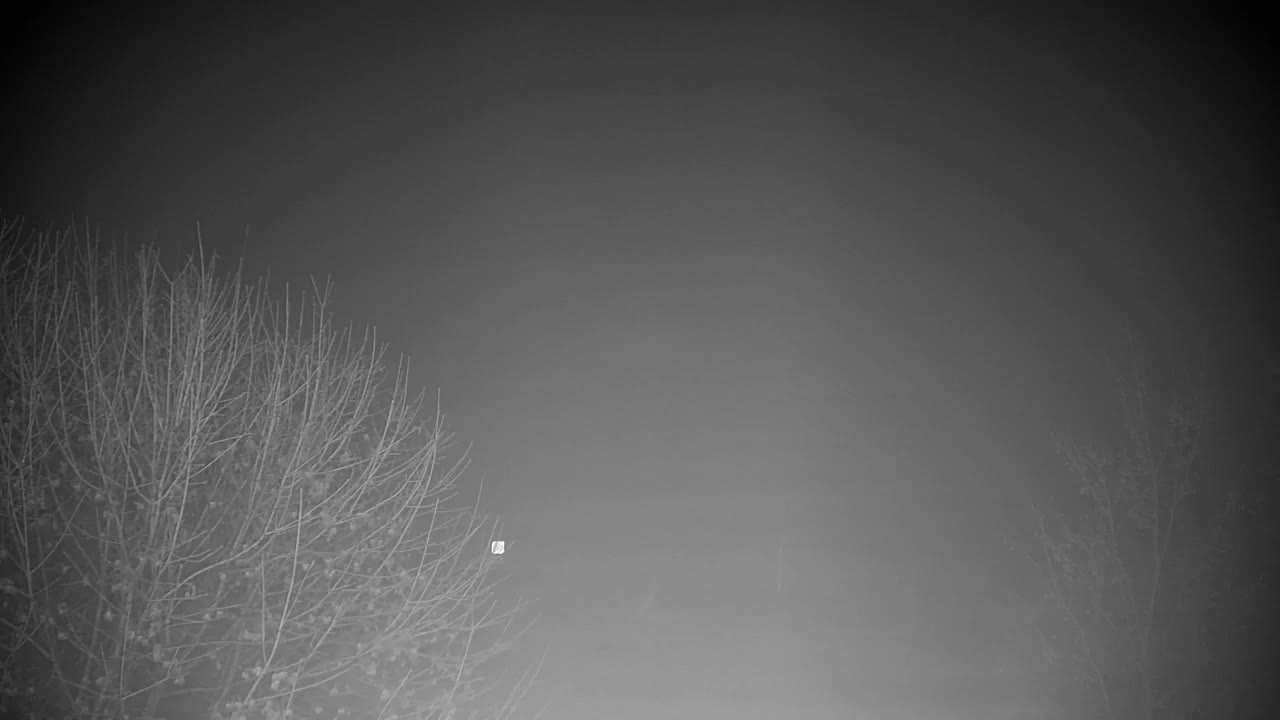 Webcam Ribnik Vrbje – Žalec