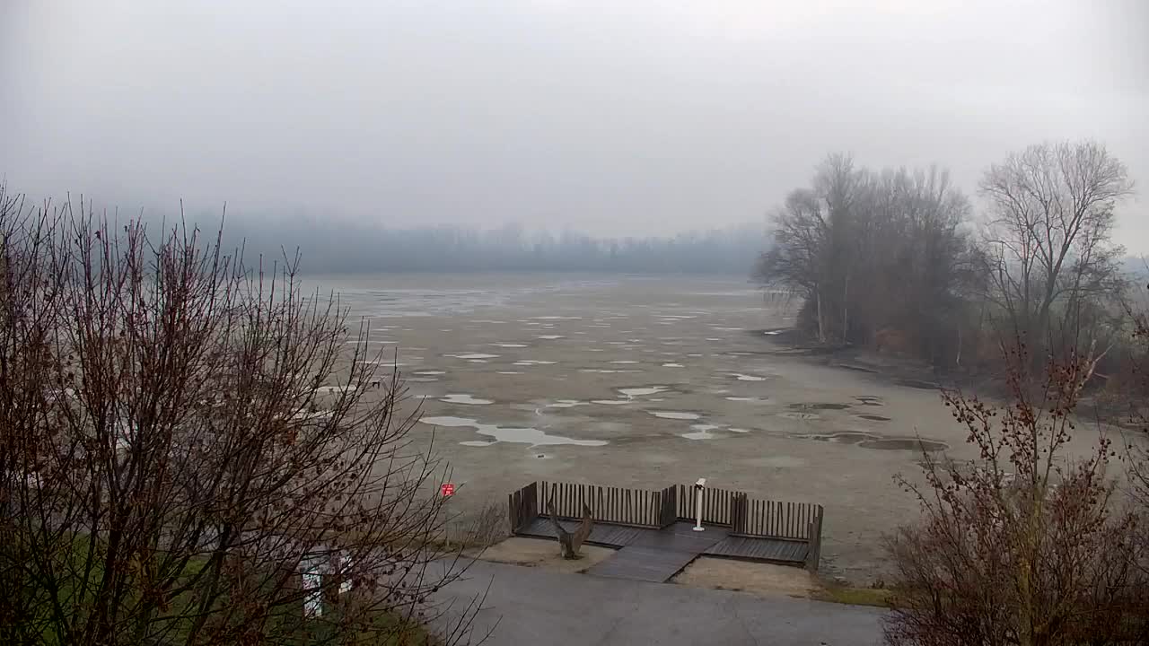 Webcam Ribnik Vrbje – Žalec