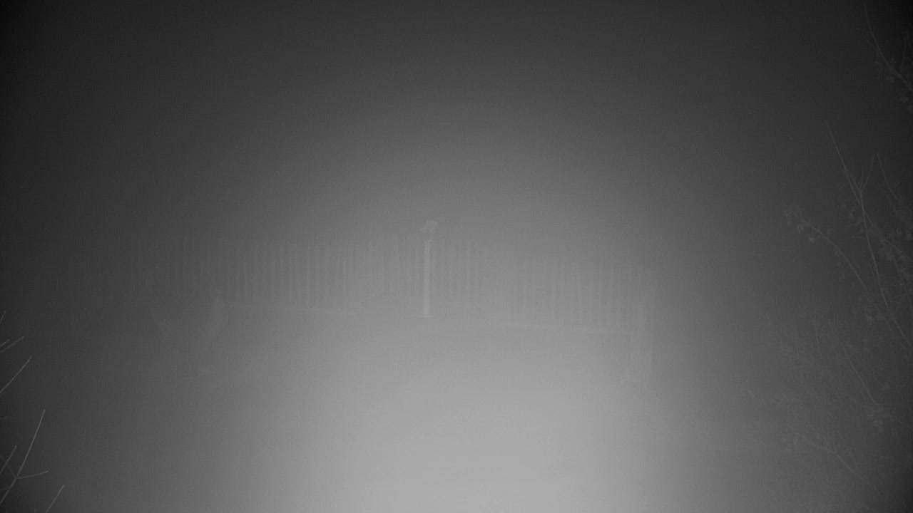 Web kamera Ribnik Vrbje – Žalec