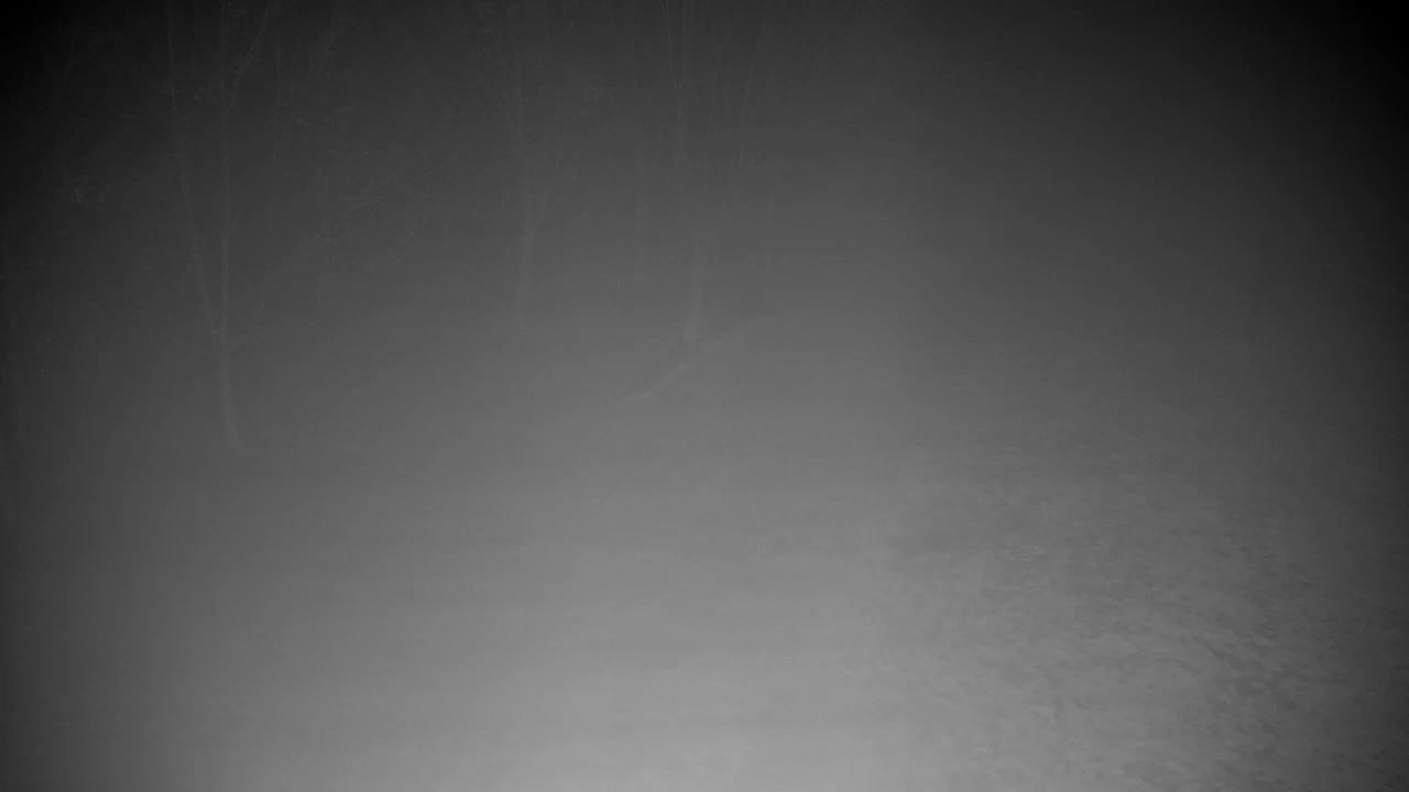 Spletna kamera Ribnik Vrbje – Žalec