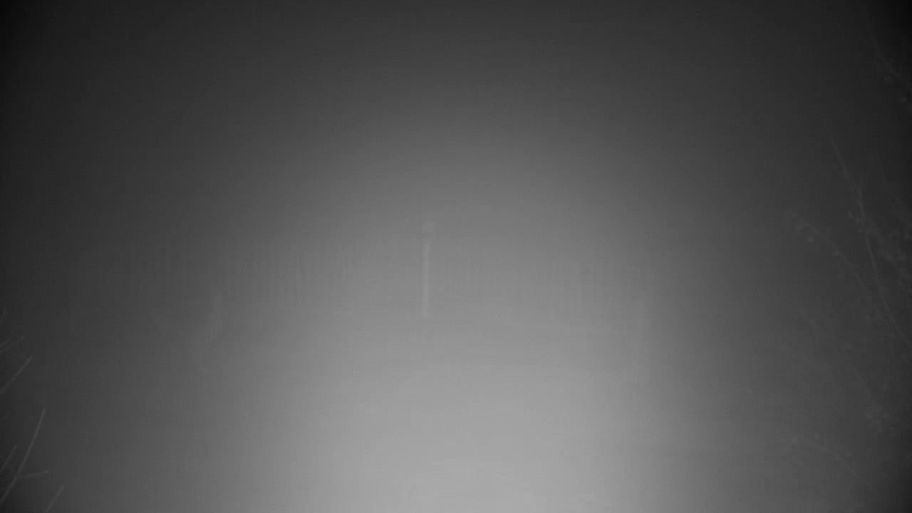 Spletna kamera Ribnik Vrbje – Žalec