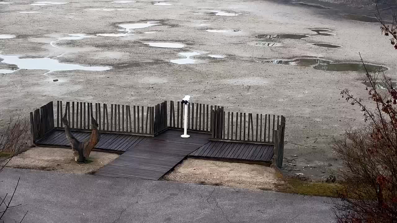 Webcam Ribnik Vrbje – Žalec