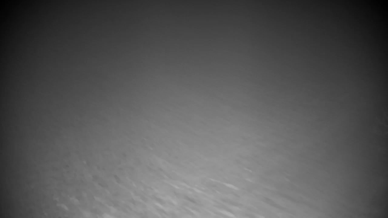 Webcam Ribnik Vrbje – Žalec