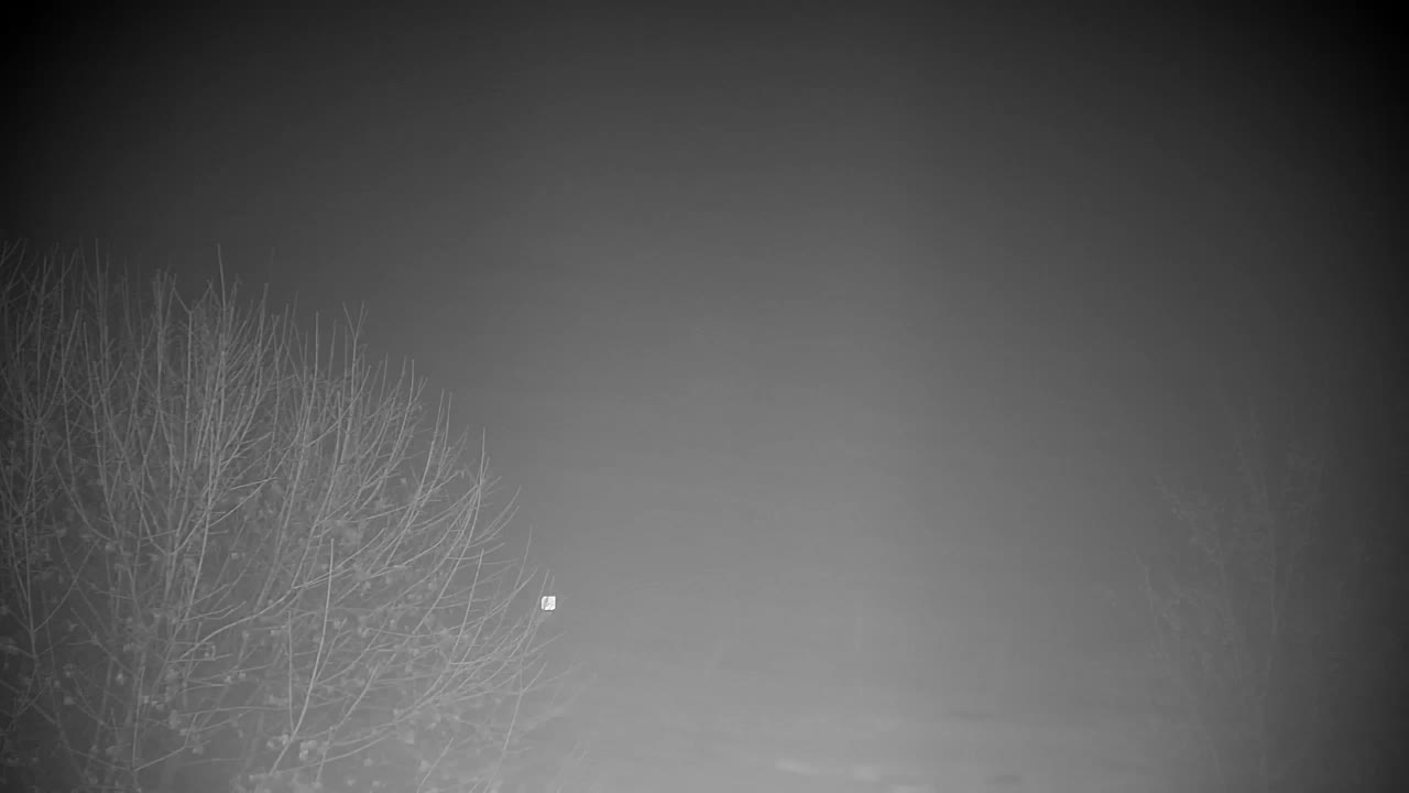 Webcam Ribnik Vrbje – Žalec