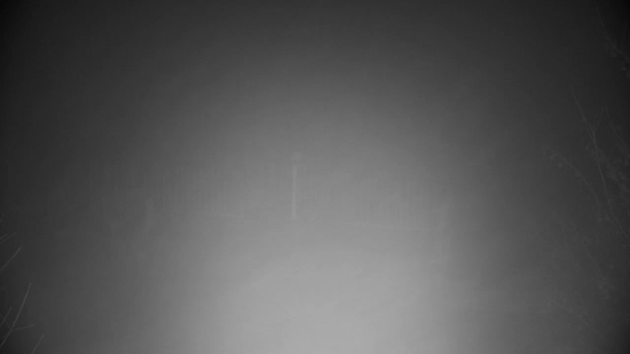 Spletna kamera Ribnik Vrbje – Žalec