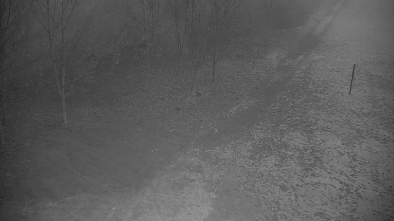 Webcam Ribnik Vrbje – Žalec