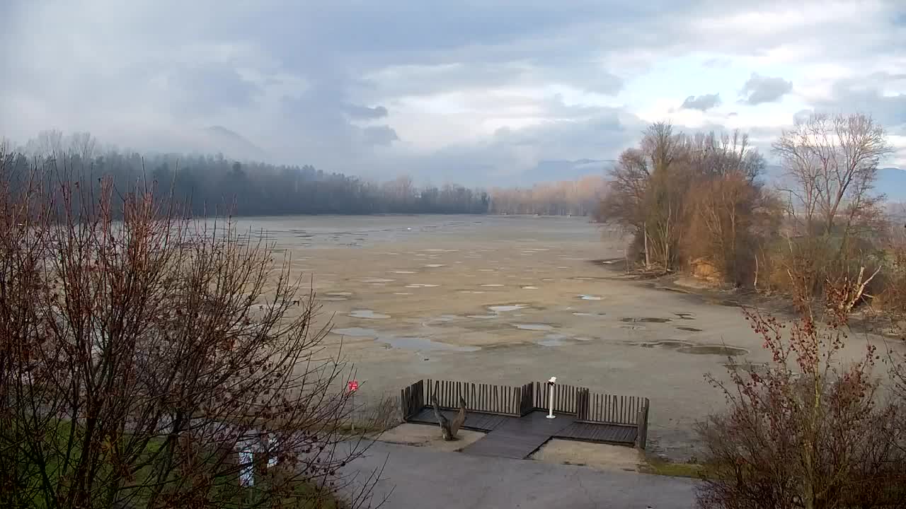 Webcam Ribnik Vrbje – Žalec