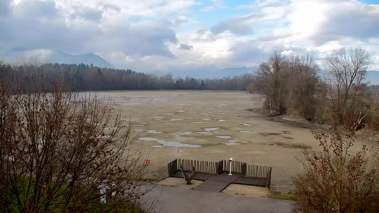 Webcam Ribnik Vrbje – Žalec