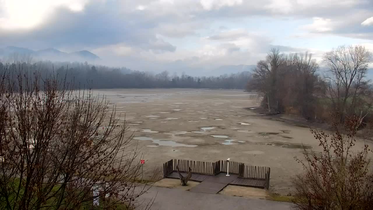 Spletna kamera Ribnik Vrbje – Žalec