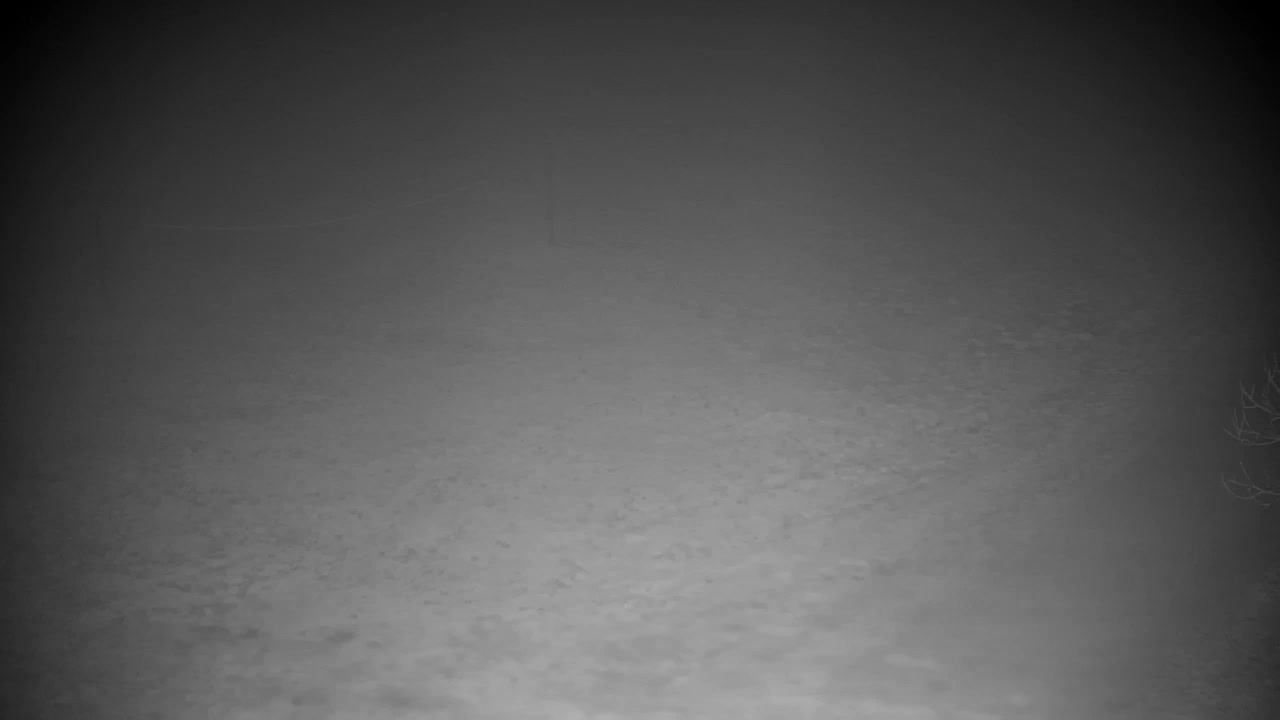 Web kamera Ribnik Vrbje – Žalec