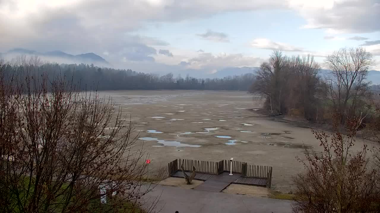 Webcam Ribnik Vrbje – Žalec