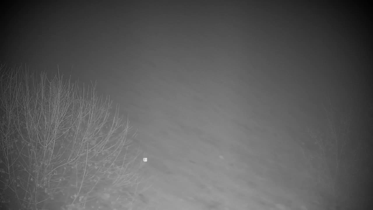 Webcam Ribnik Vrbje – Žalec