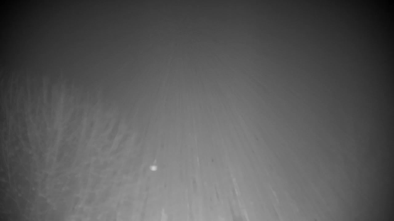 Webcam Ribnik Vrbje – Žalec