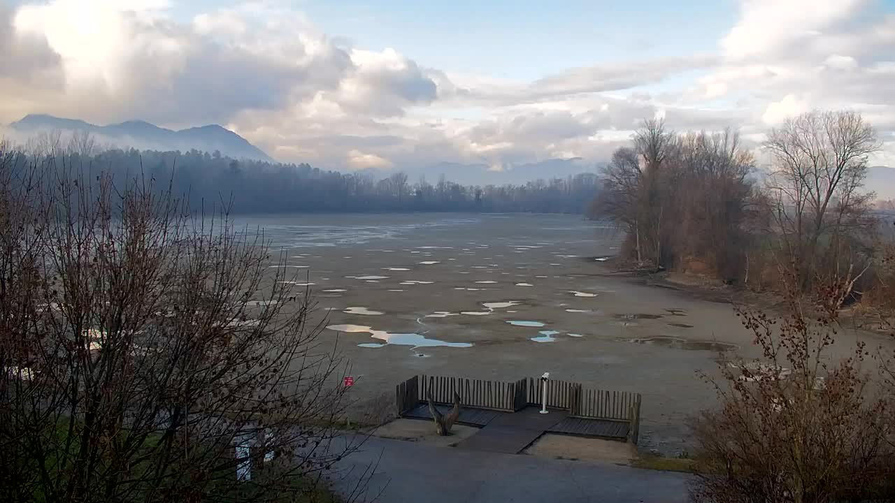 Webcam Ribnik Vrbje – Žalec