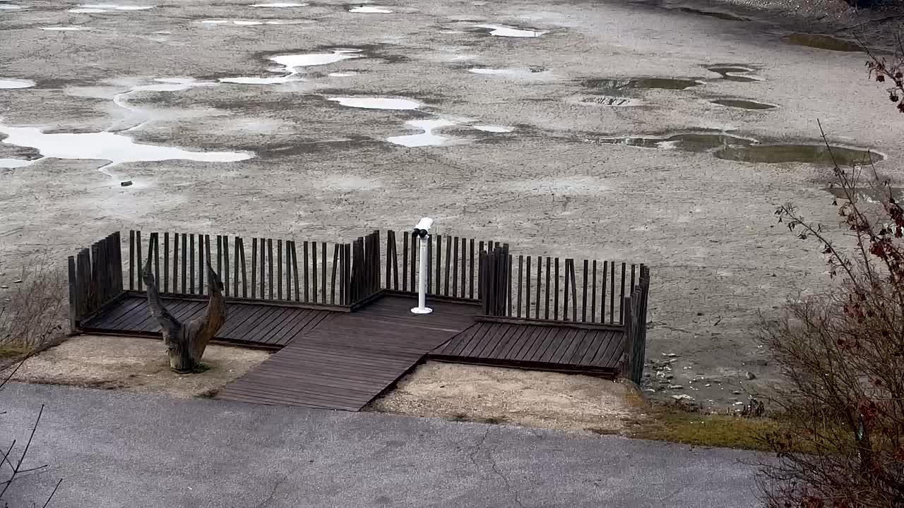 Webcam Ribnik Vrbje – Žalec