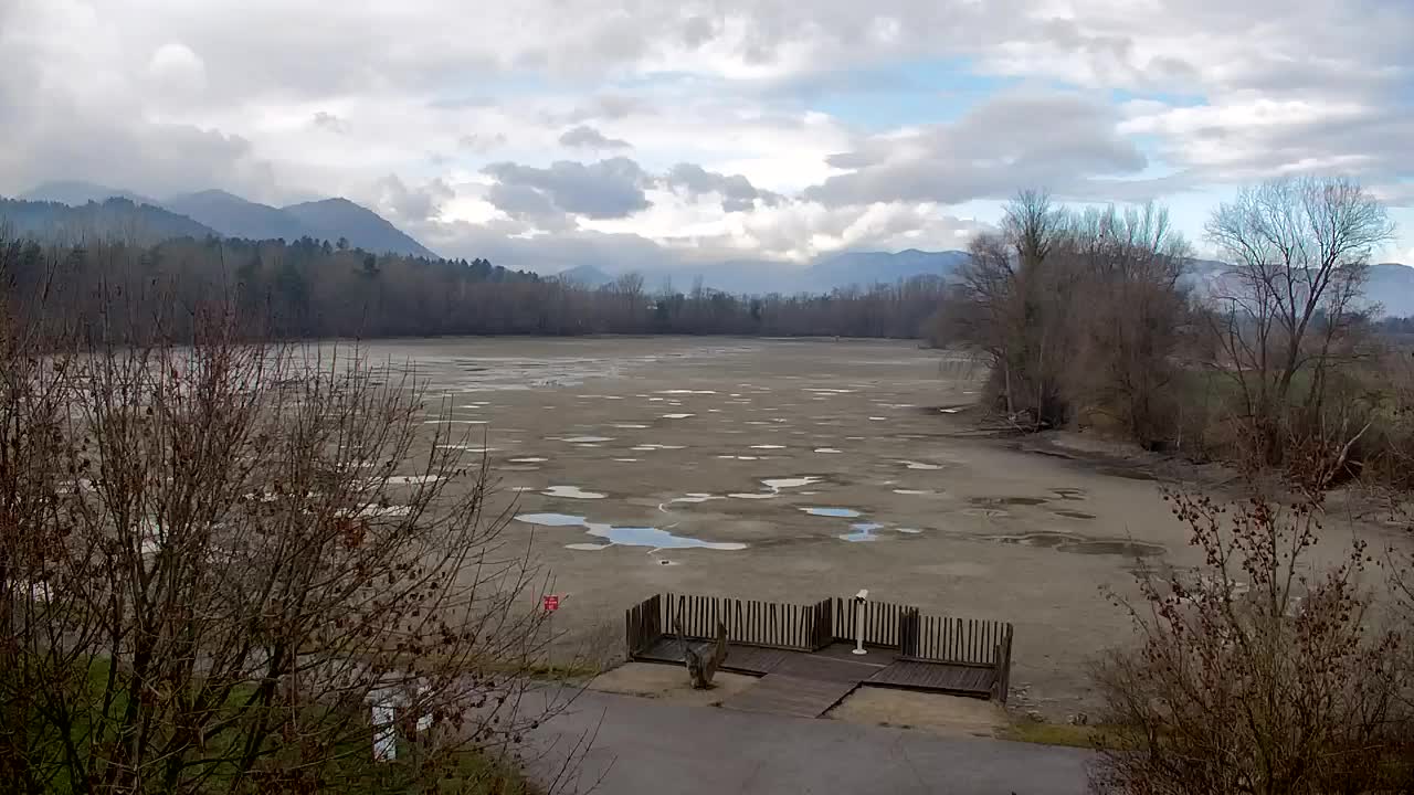 Webcam Ribnik Vrbje – Žalec