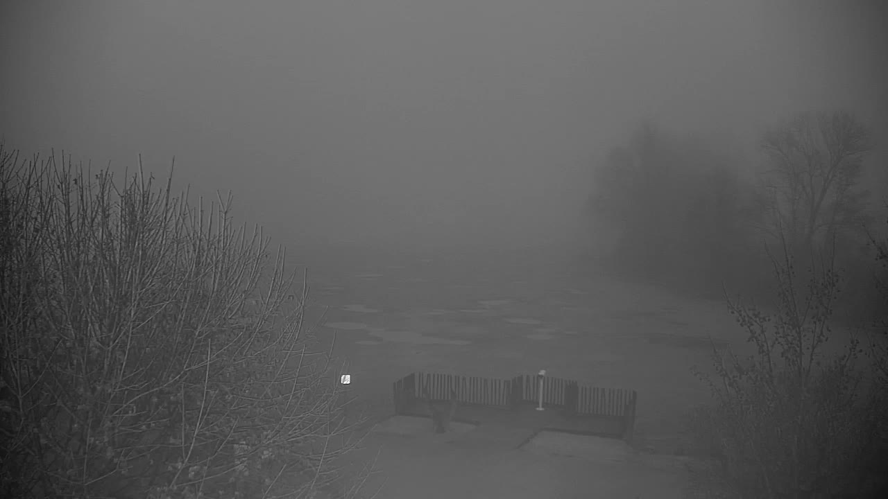 Webcam Ribnik Vrbje – Žalec