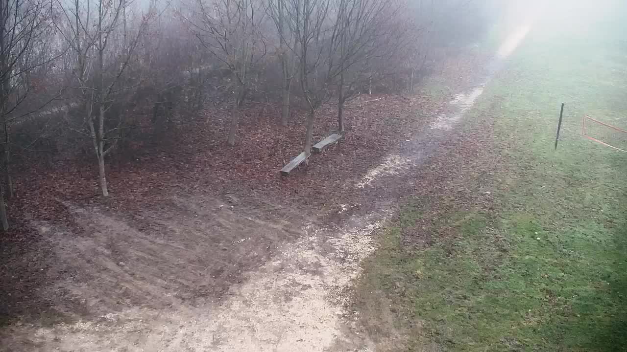 Webcam Ribnik Vrbje – Žalec