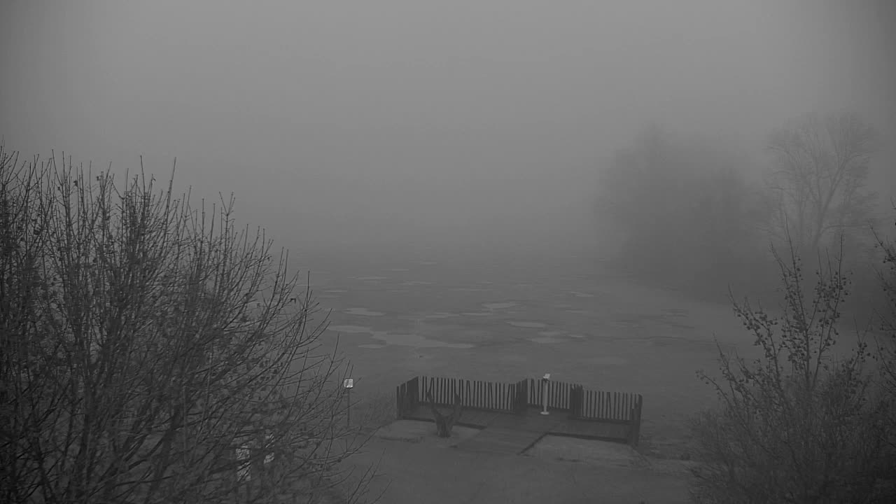 Webcam Ribnik Vrbje – Žalec