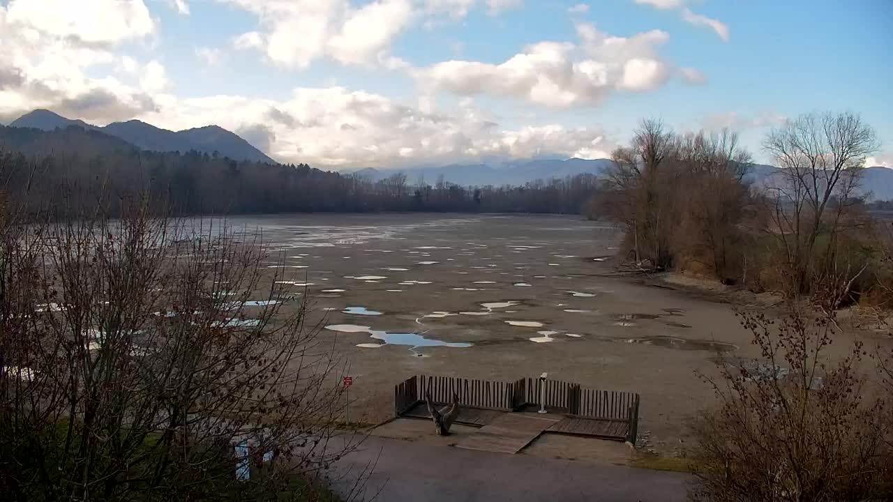 Webcam Ribnik Vrbje – Žalec